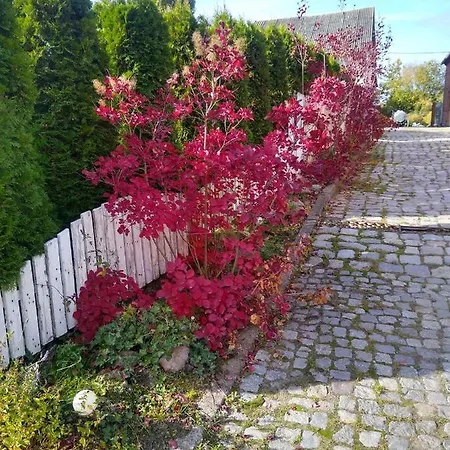 Eljan-centrum Noclegowe Olsztyn